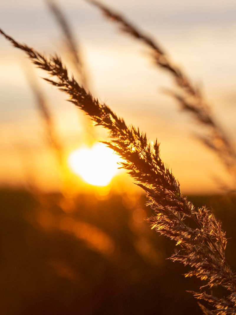 beautiful-view-morning-light